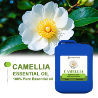 1L Minyak Biji Camellia Cold Pressed Grade Terapeutik, Minyak Pembawa untuk Perawatan Rambut dan Kulit, Label Pribadi OEM