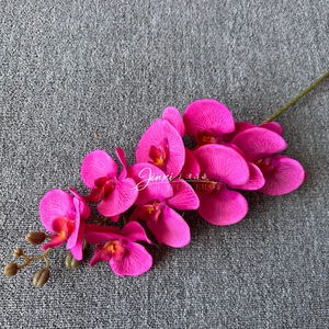 ดอกกล้วยไม้ฟาแลนนอปซิสประดิษฐ์ จินซี 8 หัว สีฟ้า ผ้าไหม สำหรับตกแต่งงานแต่งงาน ตกแต่งห้องนั่งเล่น ของตกแต่งบ้าน - Product Image 4