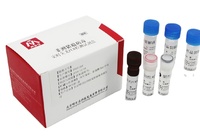 Kit de test RT-PCR pour le PRRS (syndrome respiratoire et reproductif porcin) pour porcs, kit de test rapide pour le PRRS, kit PCR