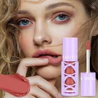 Rouge à lèvres longue durée personnalisable, rouge à lèvres rouge rose, rouge à lèvres velours, cosmétiques pour femmes, nouveau rouge à lèvres liquide 6 couleurs, brillant à lèvres