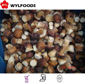 Boletus <span class=keywords><strong>Edulis</strong></span> Orgánico de Alta Calidad, Entero, de Origen Silvestre, Delicia Culinaria, IQF Congelado - Product Image 4
