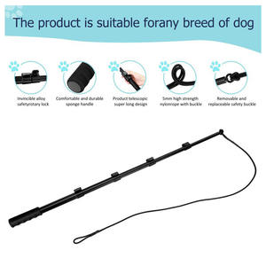 Hoge Kwaliteit Sporter Interactief Huisdier Speelgoed Training Trekken Honden Oefenapparatuur Uitschuifbare Flirtstok - Product Image 5