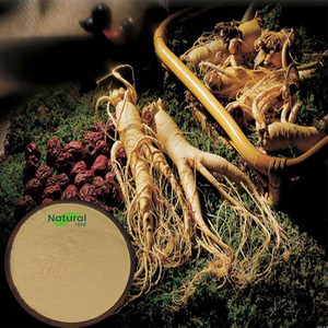 Offre Spéciale 5%-80% Supplément de poudre d'extrait de racine de ginseng de qualité alimentaire Ginsenosides dans un emballage en bouteille ou en tambour - Product Image 3