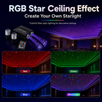 25W Dual-Head Glasfaser-Sternenhimmel-Beleuchtungsset RGB LED-Lichtquelle mit APP RF-Fernbedienung