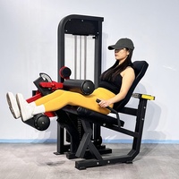 Machine à flexions de jambes en acier, best-seller, avec extension de jambes réglable pour la musculation et le renforcement ciblé des jambes