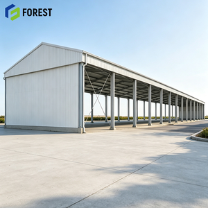 Almacén Logístico de Gran Envergadura con Estructura de Acero en Forma de H, Diseño Personalizado, Lados Abiertos, Alta Capacidad de Carga, Depósito de Tránsito - Product Image 1
