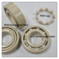 6205 PEEK Races Retainer 9 billes ZrO2 25x52x15mm HXHV roulement à billes en plastique