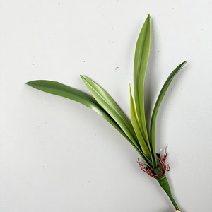 Feuilles de <span class=keywords><strong>Jacinthe</strong></span> en Caoutchouc Doux au Toucher, Feuilles de Clivia, Feuilles d'<span class=keywords><strong>Orchidée</strong></span>, Décoration Florale pour Salon, <span class=keywords><strong>Orchidée</strong></span> à Bord Blanc - Product Image 6