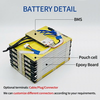 Batterie de vélo électrique 72V, pack de batteries en pochette, cellules NMC LFP 30AH 60AH 73AH 100AH 160AH 200AH, batterie lithium pour vélo électrique