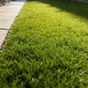 Gazon artificiel de haute qualité pour jardin, rouleau de 25 mm, 35 mm, 50 mm, tapis de gazon synthétique de 40 mm - Product Image 4