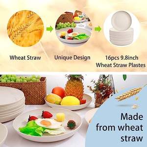 Supernal Ensemble d'<span class=keywords><strong>assiettes</strong></span> à dîner <span class=keywords><strong>en</strong></span> paille de blé <span class=keywords><strong>en</strong></span> <span class=keywords><strong>bambou</strong></span> de 16 pièces allant au micro-ondes et au lave-vaisselle léger réutilisable pour les fêtes pique-niques - Product Image 5