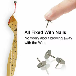 Trampa de pegamento para insectos personalizada de 4 rollos, <span class=keywords><strong>cinta</strong></span> adhesiva desechable para atrapar moscas, trampa de pegamento para el control de plagas de insectos HC4101 - Product Image 6
