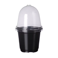 Pot Tanaman Transparan PET Ukuran 3.5 inci, 4 inci, 5 inci, 6 inci, 7.6 inci, dengan Tutup Humidifikasi untuk Bibit dan Persemaian