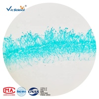 Microscope Prepared Slides Hot Sale 10pcs Mixed Different Fungi Microbiology Slides