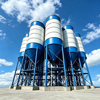 Silo à ciment pour centrale à béton, silo de stockage en acier soudé avec convoyeur à vis et dépoussiéreur