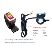 14.5 pouces électrique Brushless Gear Hub Motor Set 24V 36V 48V 250W-500W Bldc Hub Motor System Controller Throttle Brake Kits