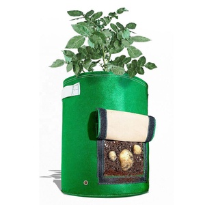 sac de plantation biodégradable <span class=keywords><strong>feutre</strong></span> pousser plante jardin sac en plastique sac de culture pour les plantes végétales - Product Image 1