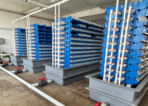 スクエアクラブハウストラップ耐久性のあるPP HDPEプラスチックビン養殖システム魚エビロブスター釣りトラップ鉄骨フレームネット - Product Image 2