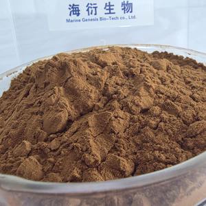 Морской биотехнологический экстракт Tribulus Terrestris (90% сапонинов), органический, дикорастущий, пищевой, вакуумная упаковка в барабане - Product Image 3