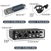 Interface Audio USB Professionnelle OEM MD22 Avec Ensembles de Microphones à Condensateur 48V pour Studio de Musique