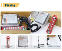 Control Remoto Industrial Inalámbrico para Grúa, IP67 Impermeable, 10 Botones, Una Velocidad, Interruptor de Botón Momentáneo
