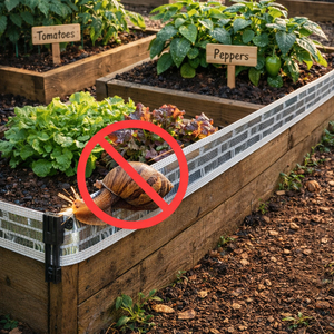 Bande de clôture électrique <span class=keywords><strong>anti</strong></span>-escargots pour jardin, protection des parterres de fleurs et des bacs surélevés contre les limaces - Product Image 1