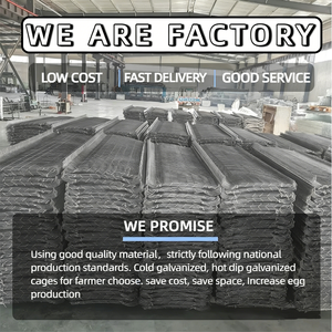 Oferta Especial: <span class=keywords><strong>Jaulas</strong></span> para Pollos <span class=keywords><strong>de</strong></span> Corral Nuevas/<span class=keywords><strong>de</strong></span> <span class=keywords><strong>Segunda</strong></span> <span class=keywords><strong>Mano</strong></span> o Usadas - Product Image 6