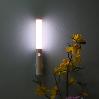 Veilleuse LED Rechargeable Intérieur Mural Détecteur de Mouvement Cabinet Aimant Base 3 Modes pour Salon Design Minimaliste