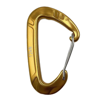 Mousqueton de sécurité professionnel en aluminium en forme de D, 22 kN, pour l'escalade, la montagne, équipement de sécurité robuste, karabiner