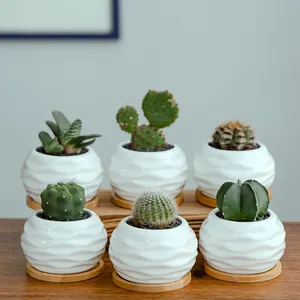 China Fabriek Decoratieve Moderne Indoor Mini Kleine Keramische Sappige Plantenbak Pot Met Bamboe Dienblad Plant Pot Bloempot