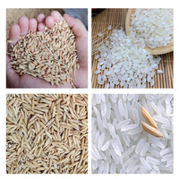 Machine de traitement de riz 1 tonne par heure, ligne de production compacte de rizerie 1000 kg/h, blanchisseur de riz
