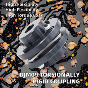 DJM09 ชุดข้อต่อไดอะแฟรมเดี่ยวแบบยืดหยุ่น ชุดแผ่นดิสก์คู่ที่แข็งแรงตามแนวแกน พร้อมตัวเว้นระยะเหล็ก OEM ปรับแต่งได้สำหรับร้านพิมพ์ - Product Image 2