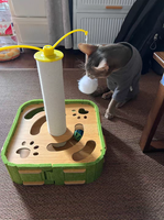 Jouet pour chat pas cher, durable et écologique en MDF/feutre, jeu de carrousel, puzzle pour animaux, jouet à creuser, utilisation intérieure/extérieure, toutes les occasions