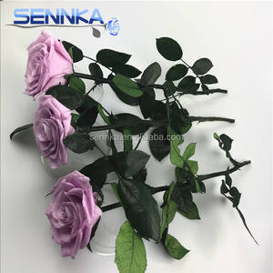 <span class=keywords><strong>Bouquet</strong></span> de fleurs conservées à longue tige pour importateurs de fleurs de Dubaï - Product Image 4