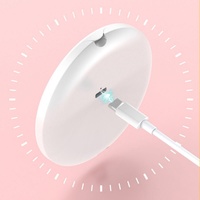 Miroirs de voyage compacts personnalisés lumineux, petits miroirs de maquillage à LED grossissants 10X pour femmes et filles, cadeaux floraux pour les fêtes du thé