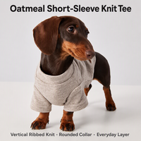 Pull en tricot d'hiver élégant pour Bichon Frise, haut thermique pour chats et petits chiens, vêtement pour animaux de compagnie tendance, favori des influenceurs