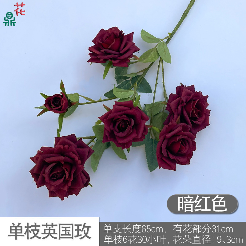 Rose britannique à tige unique DG Dark Red