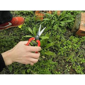 Tijeras de Podar para Jardinería, Tijeras para Podar Árboles Frutales, Herramientas de Podar de Alta Calidad para Dar Forma - Product Image 4