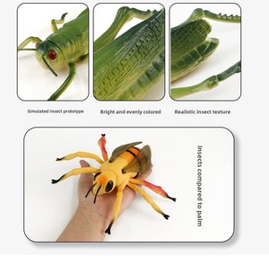 Modèles réalistes d'insectes du monde naturel : Cigale, Gélatineuse, Scarabée à fèces – Jouet éducatif en PVC pour enfants - Product Image 4