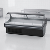 Vitrine Réfrigérée Commerciale Monotempérature pour Boucherie, Refroidie par Air, pour Fruits de Mer et Viandes