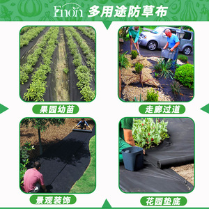 Toile de paillage multifonctionnelle 150g noire et vert foncé pour la plantation de légumes et les semis - Product Image 5
