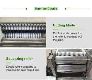 Presse à froid industrielle à double rouleau presse-agrumes lent extracteur de jus de citron de fruits à usage <span class=keywords><strong>commercial</strong></span> - Product Image 4