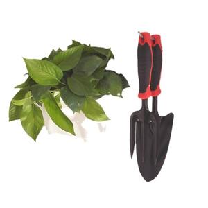 Maceta de plástico Unipower para colgar en la pared, diseño minimalista blanco para plantas verdes de interior, maceta colgante para Pothos - Product Image 4