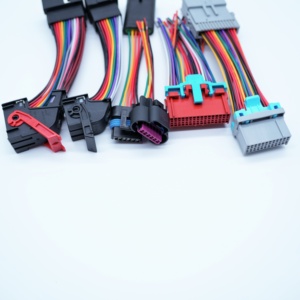 Fabricant Personnalisé OEM/ODM – Faisceau de Câblage Molex TE AMP Pas de 2,54 mm et 3,0 mm, 8P, 16P, 20P, 24P pour Assemblage de Câbles Audio Automobile - Product Image 3