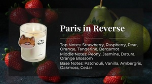 Bougie en cire de soja personnalisée, sans danger pour les animaux domestiques, non toxique, parfumée aux fruits, huile essentielle, aromathérapie d'intérieur - Product Image 3