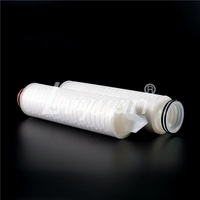 Filtre à micropores 0,22 micron Cartouche de membrane PP PTFE Filtres à air avec configuration DOE/222/226/215 pour le traitement de l'eau