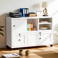 Armoire de classement mobile à 2 tiroirs avec serrure, armoire de classement latérale en métal avec étagères, support d'imprimante avec rangement
