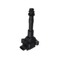 High Quality Auto Spare Parts Engine Systems Ignition Coils OEM 99660210400 for Porsche