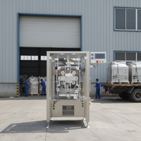ZL-200PH Back Seal Automatic Servo High Speed VFFS Ram Pump Food All Kinds of Jams Plastic Wrapping Labeling Multifunctional