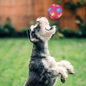 Bolsas de Regalos para Fiestas, Pelotas de Agua para Piscina, Juegos Acuáticos de Verano y Actividades Divertidas para Fiestas Infantiles - Product Image 6
